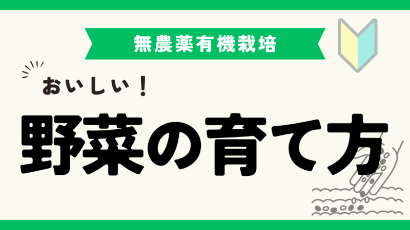 市民農園で成功する！おいしい野菜の育て方 